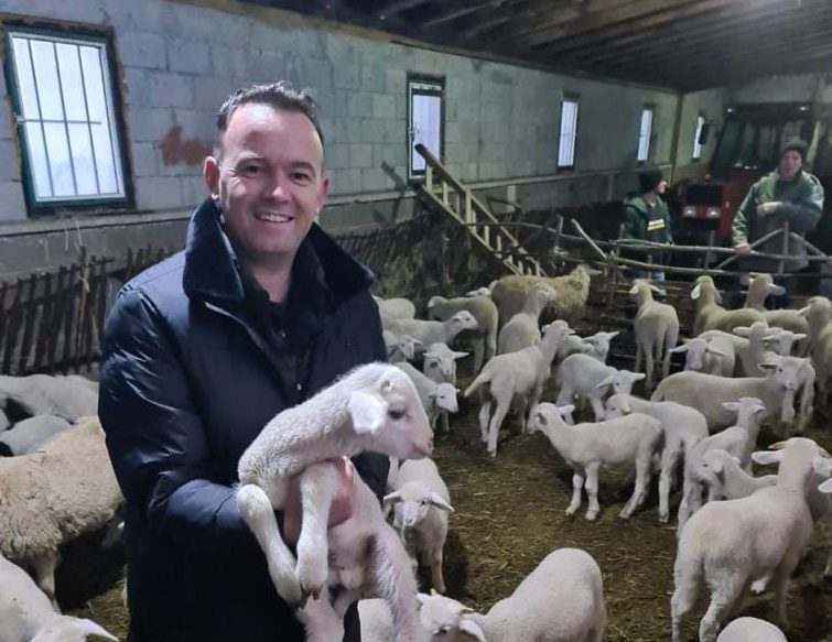 “Turp të bësh reklame me dele, vetëm tre fermerë kanë fituar grante”