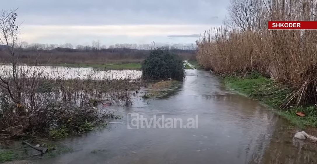 15 banesa dhe 1,400 hektarë tokë nën ujë në Shkodër