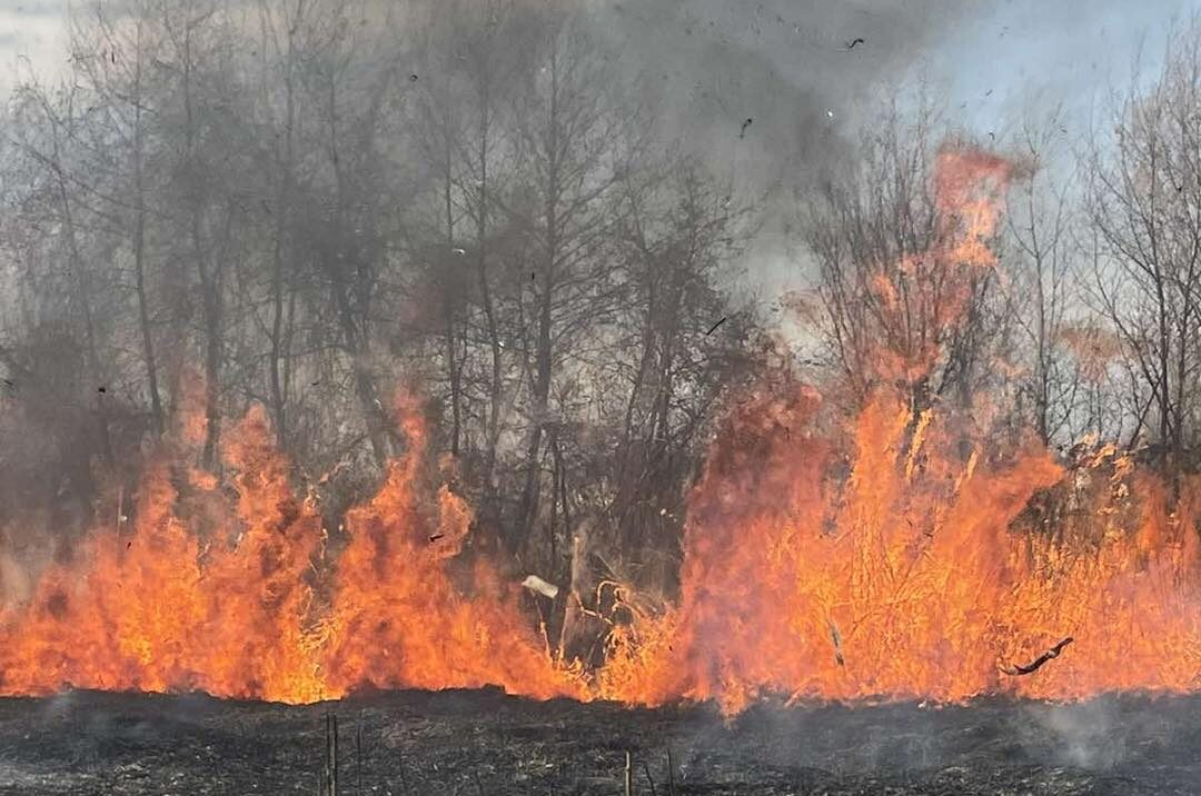 Suhareka po përballet me disa vatra zjarri (FOTO)