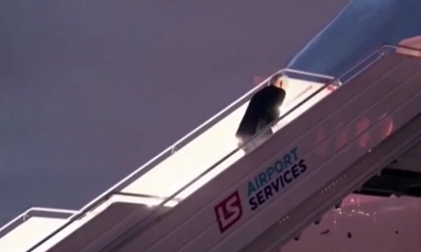 Biden pengohet sërish në shkallët e avionit
