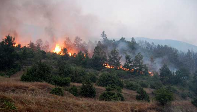 Klos: Qindra hektarë tokë përfshihen nga zjarri, vështirësohet ndërhyrja për shuarjen e tij