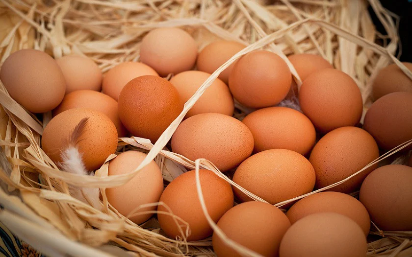 Eksperti i ushqimit: Kujdes nga salmonela, lajini vezët e fshatit para përdorimit