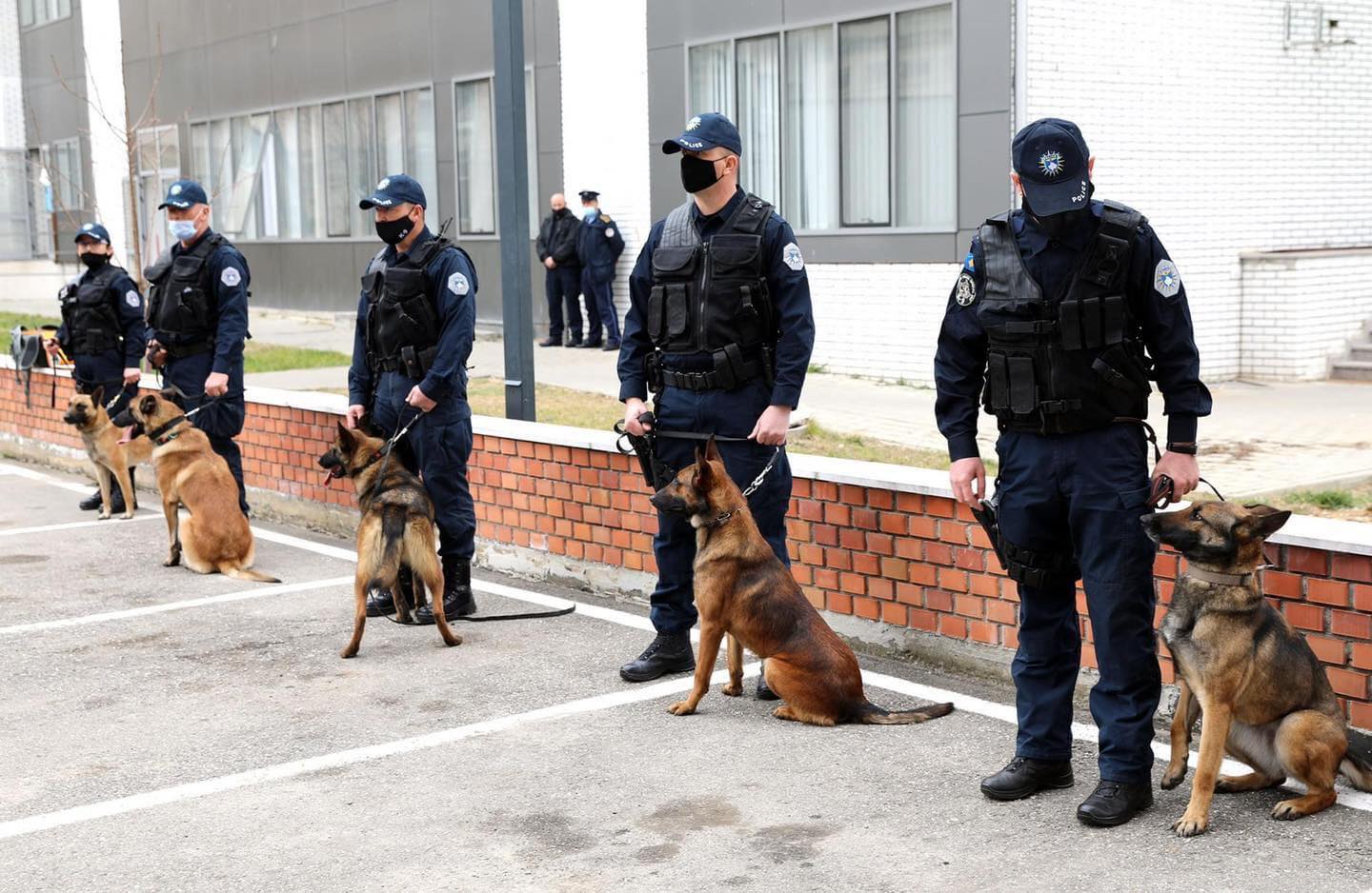 <strong>Qentë e Policisë me “meny speciale”, hanë mbi 55 mijë euro mish të terur</strong>