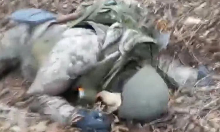 Pamje të rënda, publikohet video ku shihen ushtarë rus të vrarë në territorin ukrainas