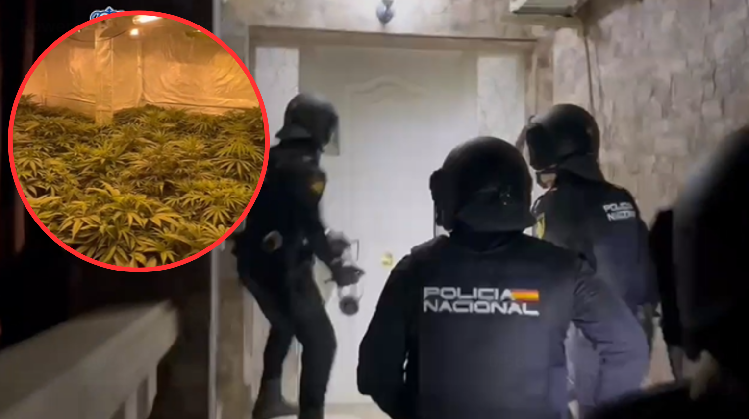 Momenti kur policia ç’monton grupin kriminal në Spanjë, arrestohen 12 shqiptarë (VIDEO)