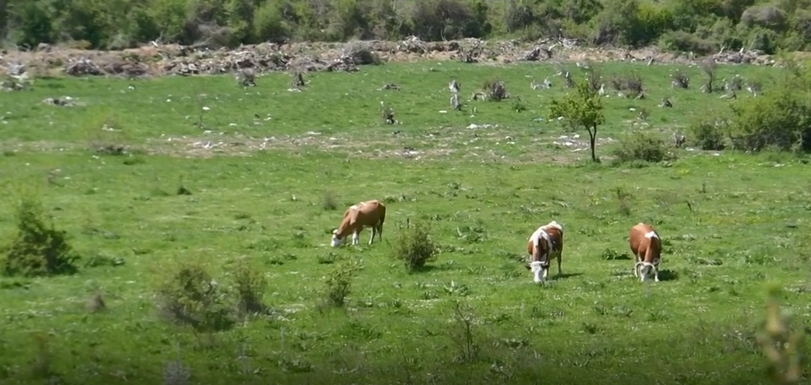 Dyshime për keqpërdorime me grante në Komunën e Skenderajt, VV-ja: Pazar për shlyrje të borxheve (VIDEO)