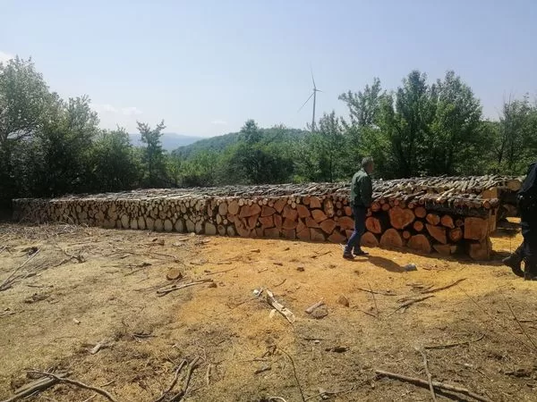 Policia e Kosovës konfiskon rreth 70 metër kub dru të dyshuara për kontrabandim