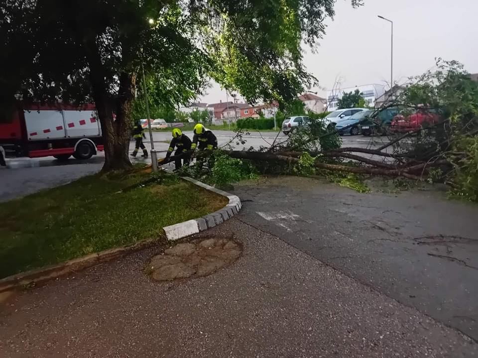 Erërat e forta rrëzojnë lisin përballë emergjencës në Spitalin e Gjilanit