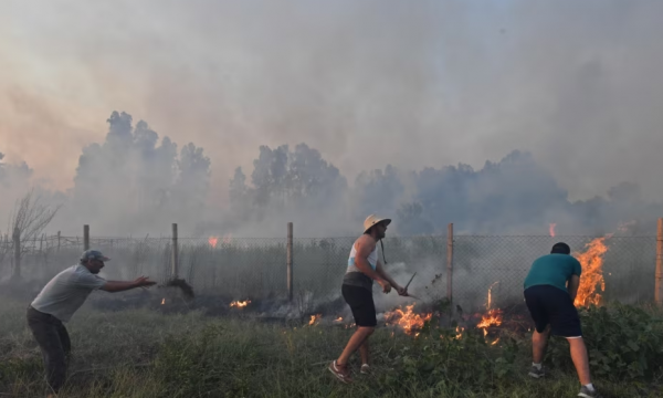 Të paktën 25 persona humbën jetën nga zjarret në Algjeri