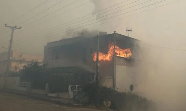 Greqia në ‘luftë’ me flakët, digjen makina dhe shtëpi në Atika