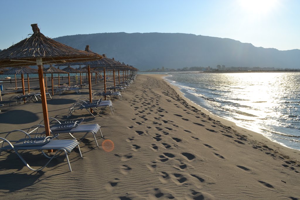 Mbytet një 20-vjeçar në plazhin e Velipojës