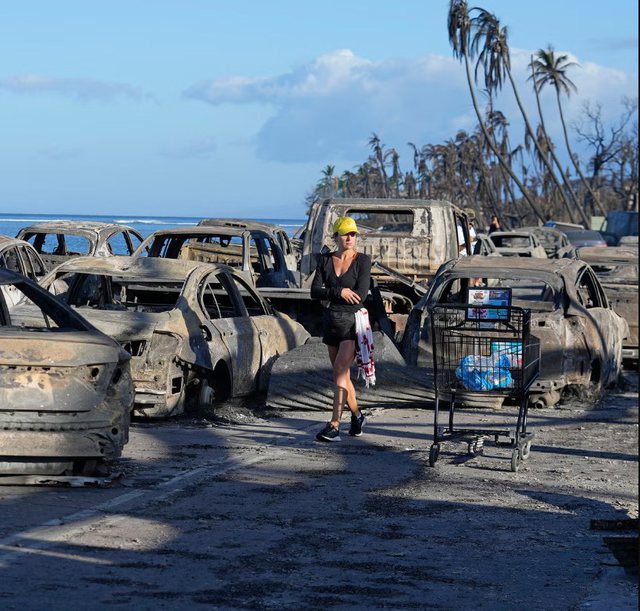 Zjarret në Havai, historia tronditëse e mbijetesës së një familjeje 