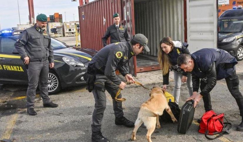 Arrestohet shqiptari në Itali, kapet duke transportuar 50 kg kokainë mes karkalecave