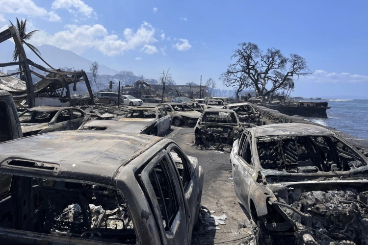 Shkon në 53 numri i të vdekurve nga zjarret në Hawaii