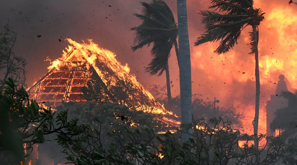Zjarret e furishme në Hawaii vrasin 36 persona