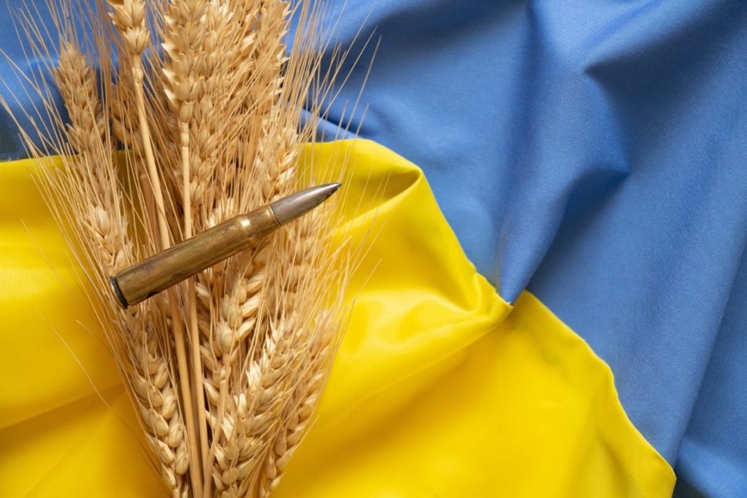 Polonia do të ndalojë furnizimin me armë për Ukrainën për shkak të mosmarrëveshjes së grurit