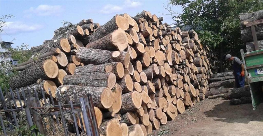 Shtrenjtohet çmimi i drunjëve deri në 100€ për metër