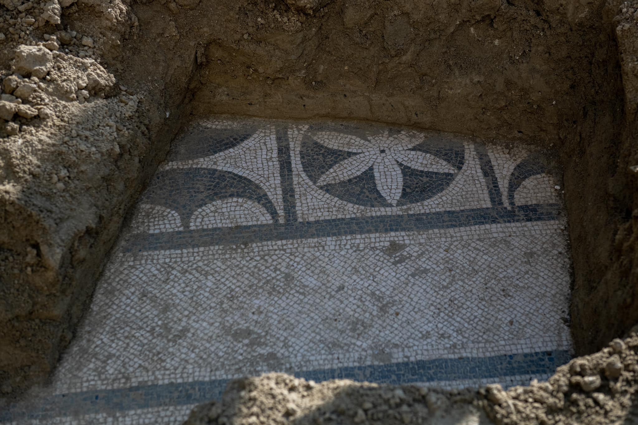 Mozaiku i rrallë romak zbulohet në Durrës