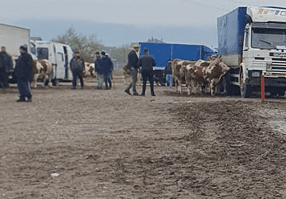 I dyshuari u arrestua në Gjilan: Policia me detaje të zgjeruara për ngjarjen në Prizren