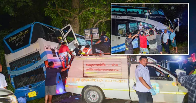 14 të vdekur e 30 të lënduar nga aksidenti i autobusit në Tajlandë, ngasësin e zë gjumi