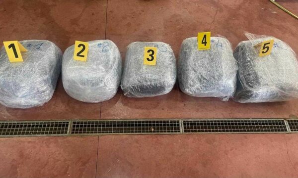 Operacioni antidrogë: Arrestohen katër persona , konfiskohen mbi 50kg marihuanë