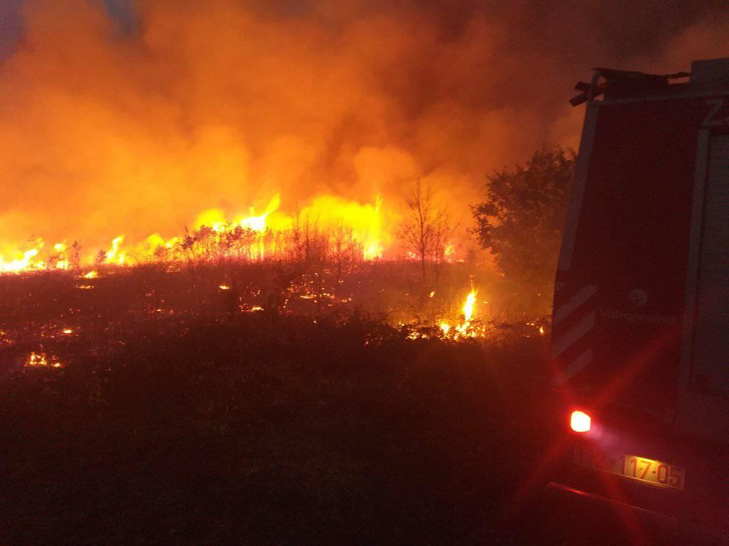 Zjarr në një mal të Gërlicës të Kaçanikut, zjarrfikësit në vendngjarje