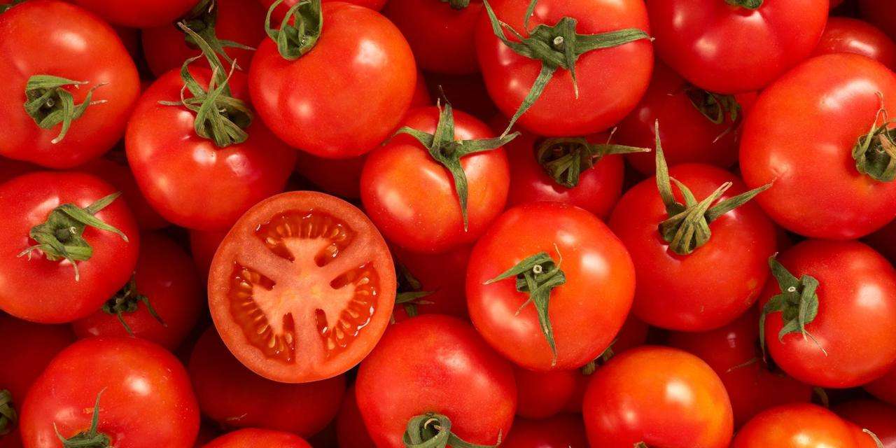Përfitimet shëndetësore të domates
