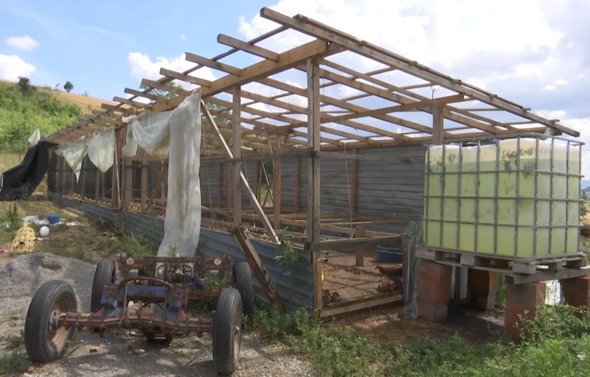 Stuhia e fuqishme i bën dëm “500 mijë euro” fermerit nga Gjilani, i ngordhën rreth dy mijë zogj