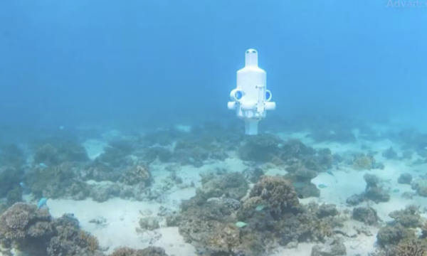 Dron nënujor me inteligjencë artificiale për të studiuar brezin masiv koralor të Australisë 