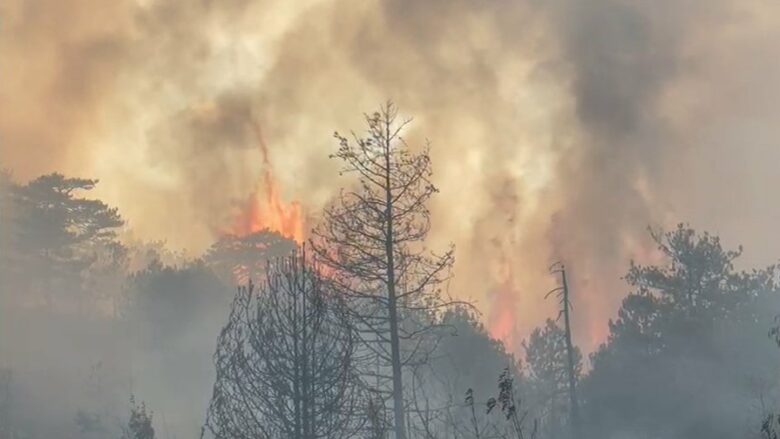 Zjarri del jashtë kontrolli edhe në një vend në Shqipëri