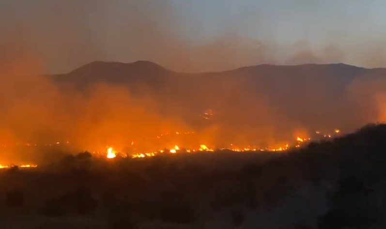 Zjarret në Gjirokastër përfshijnë Parkun e Viroit