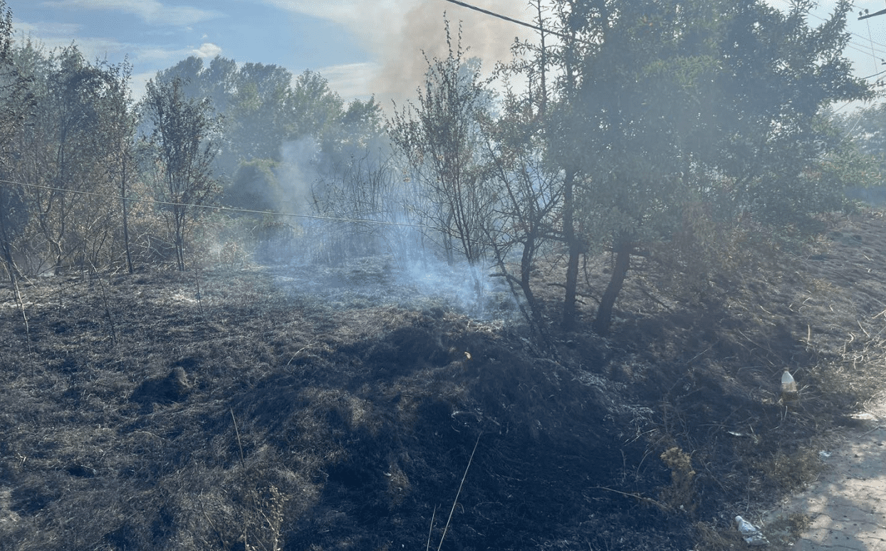 Një zonë pyjore në Suharekë kaplohet nga zjarri shkaku i kabllove elektrike