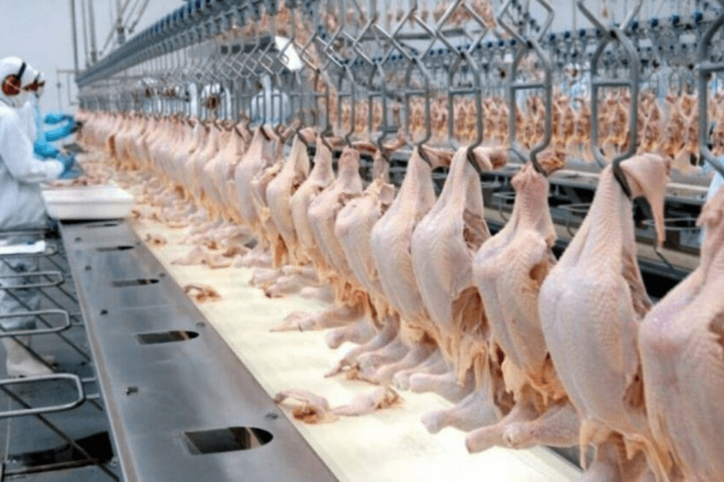 Brazili suspendon eksportin e mishit të shpezëve në Kosovë