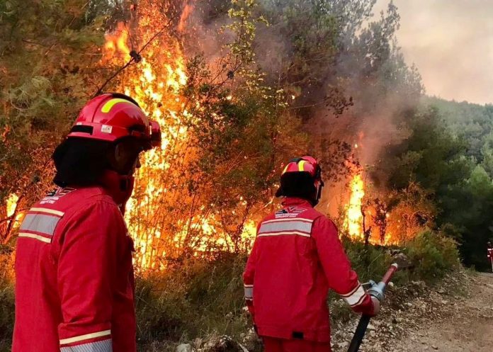 Shuhen disa vatra zjarri në Shqipëri, edhe 11 mbesin aktive