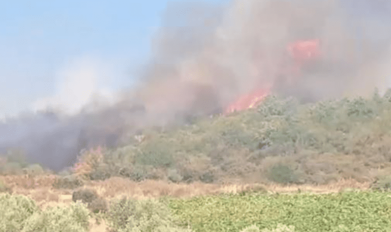 Pranga për 38-vjeçarin nga Shqipëria, dyshohet se shkaktoi zjarrin në Shijak të Shqipërisë