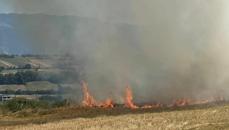 Zjarre të mëdha në Rahovec, bëhet apel për kujdes