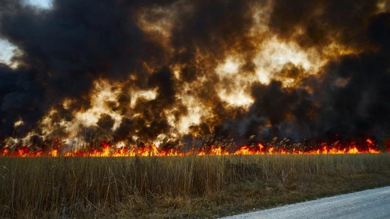 341 intervenime në zjarre vetëm në muajin korrik