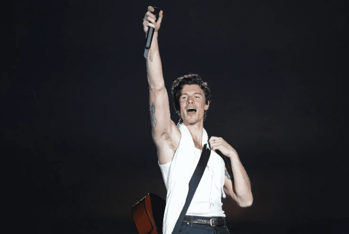 U komentua seksualiteti i tij, Shawn Mendes flet të vërtetën