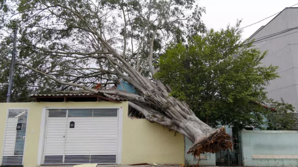 Brazili goditet nga stuhia dhe shirat e dendur, tetë të vdekur