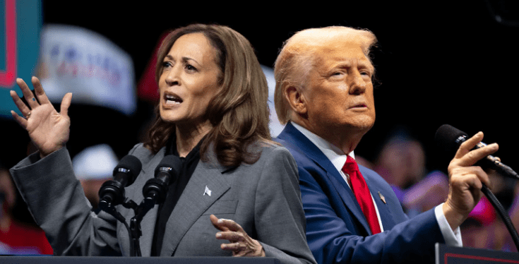 Kamala Harris ende nuk është deklaruar, BBC raporton që pritet ta telefonojë Trumpin