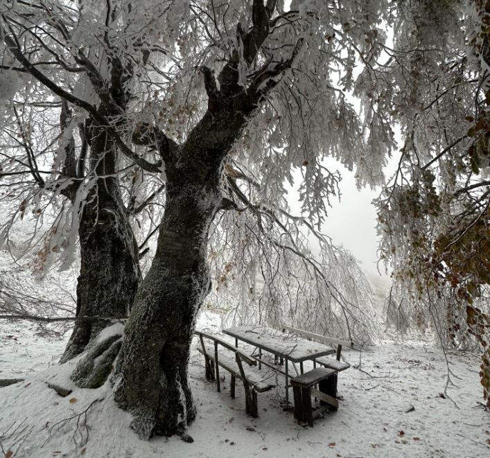 Bie bora e parë në fshatin Tugjec të Kamenicës