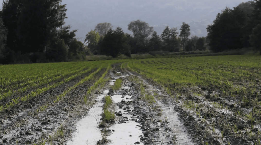 Aktakuzë ndaj pesë zyrtarëve në Mamushë, dëmi mbi 120 mijë euro