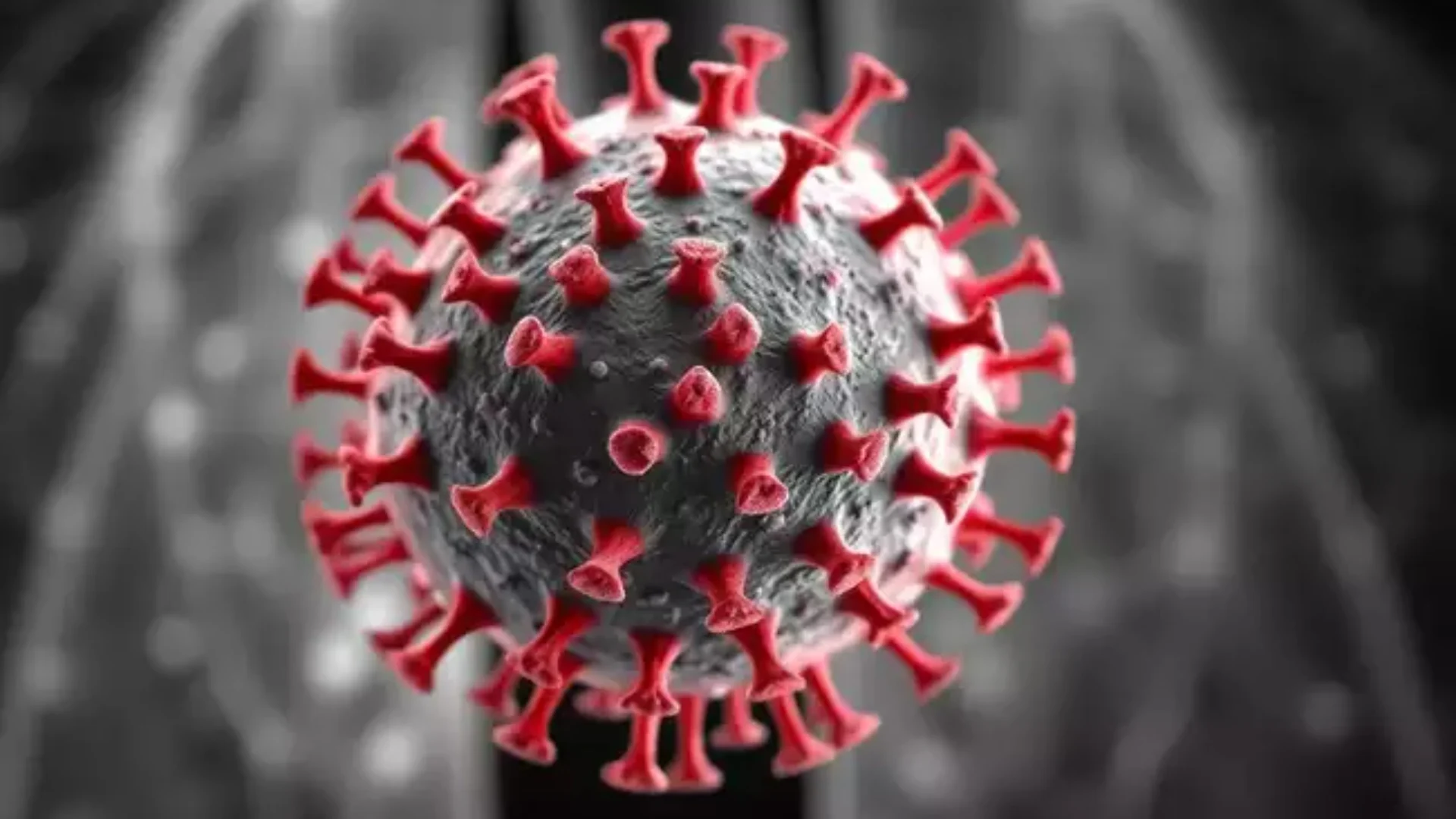 “Shpërthen” një virus i ri në Kinë, simptoma të ngjashme me COVID 19