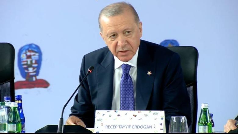 Erdogan: Duhet të konsultohemi për sigurinë tonë, të përfshihen edhe aleatë që nuk janë në BE