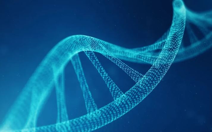 Zyrtarisht nis projekti për krijimin e ADN-së artificiale njerëzore