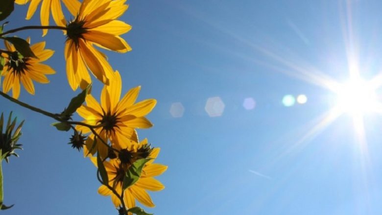 Temperaturat më afër mesatares javën e ardhshme