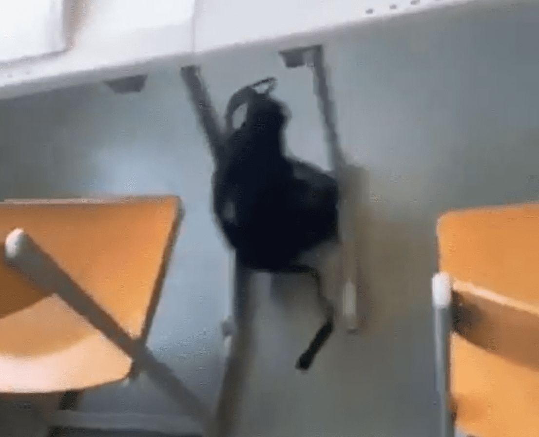 Publikohet një video nga sulmi me 10 të vdekur në shkollën në Graz të Austrisë