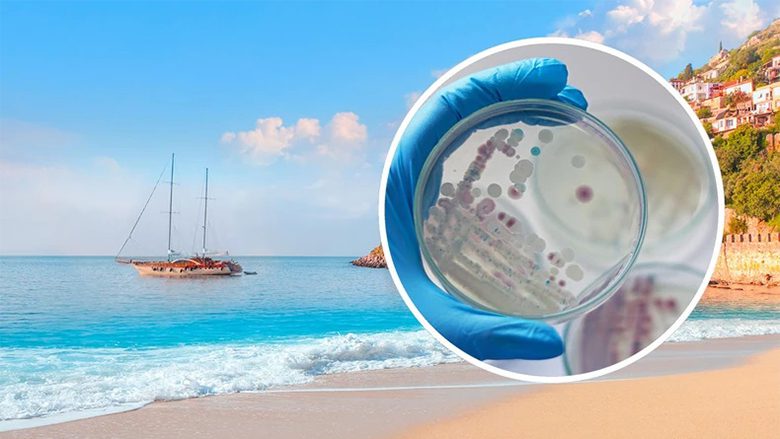 Rritet kërcënimi nga bakteret Vibrio në Evropë për shkak të ndryshimeve klimatike