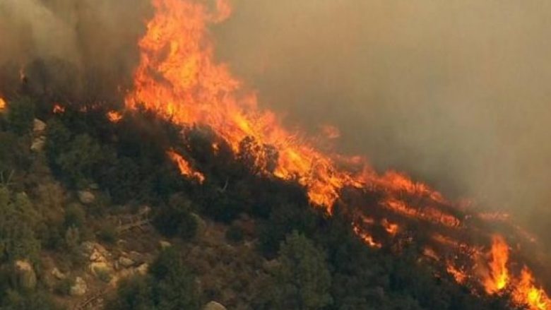 Shqipëria përballet me zjarre – 19 vatra zjarri në 24 orët e fundit, 4 ende aktive