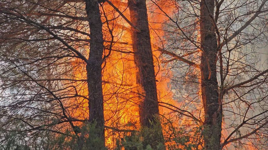 Zjarret në Shqipëri – 18 vatra brenda 24 orëve, dy ende aktive